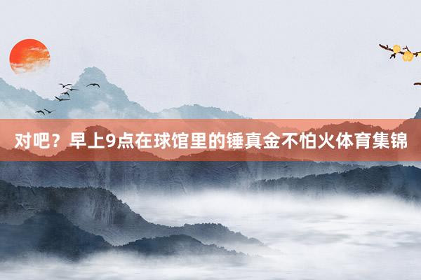 对吧？早上9点在球馆里的锤真金不怕火体育集锦