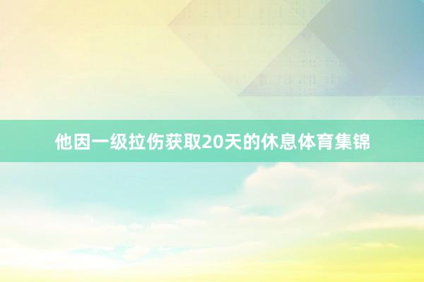 他因一级拉伤获取20天的休息体育集锦