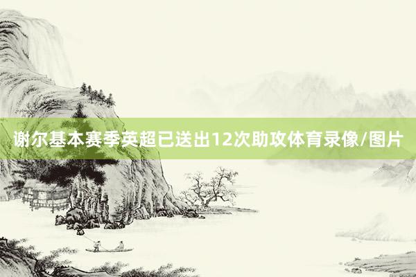 谢尔基本赛季英超已送出12次助攻体育录像/图片
