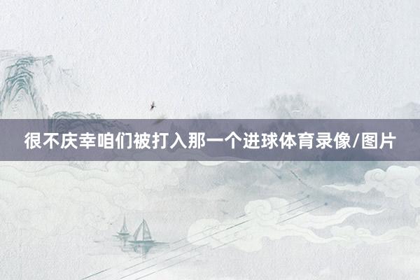 很不庆幸咱们被打入那一个进球体育录像/图片