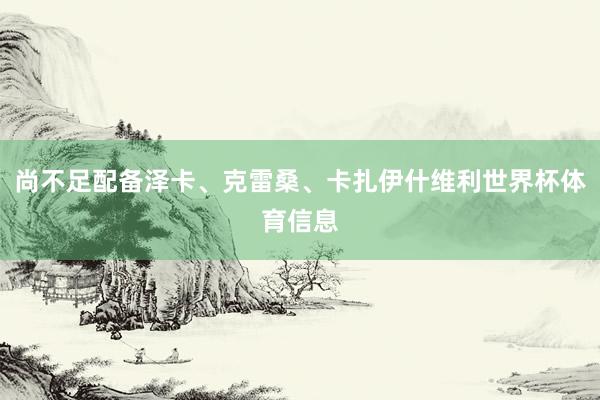 尚不足配备泽卡、克雷桑、卡扎伊什维利世界杯体育信息
