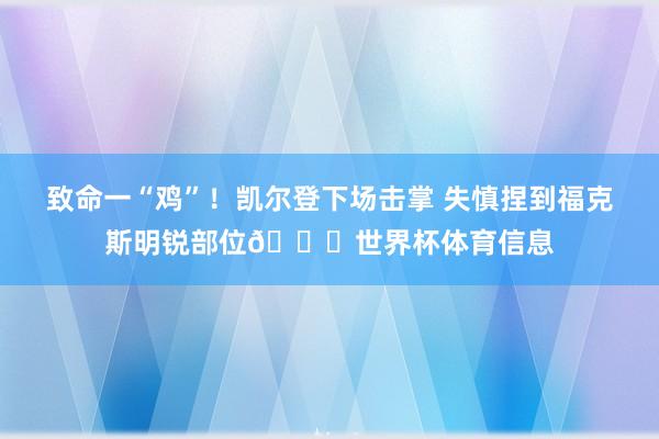 致命一“鸡”!凯尔登下场击掌 失慎捏到福克斯明锐部位🐔世界杯体育信息