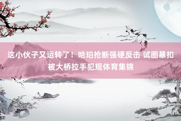 这小伙子又运转了！哈珀抢断强硬反击 试图暴扣被大桥拉手犯规体育集锦