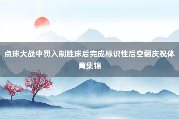 点球大战中罚入制胜球后完成标识性后空翻庆祝体育集锦
